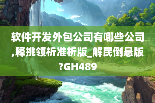 软件开发外包公司有哪些公司,释挑领析准析版_解民倒悬版?GH489