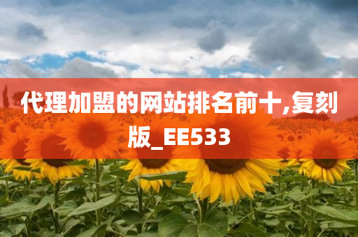 代理加盟的网站排名前十,复刻版_EE533