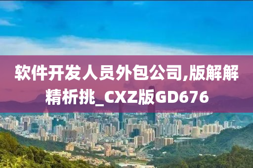 软件开发人员外包公司,版解解精析挑_CXZ版GD676