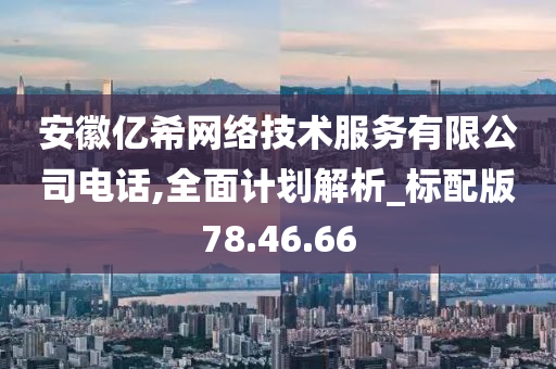 安徽亿希网络技术服务有限公司电话,全面计划解析_标配版78.46.66