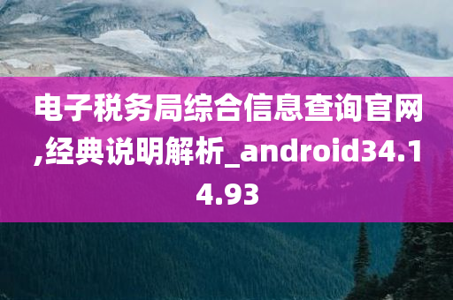 电子税务局综合信息查询官网,经典说明解析_android34.14.93