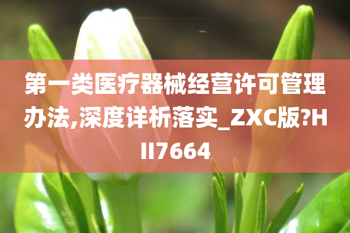 第一类医疗器械经营许可管理办法,深度详析落实_ZXC版?HII7664