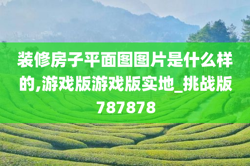 装修房子平面图图片是什么样的,游戏版游戏版实地_挑战版787878