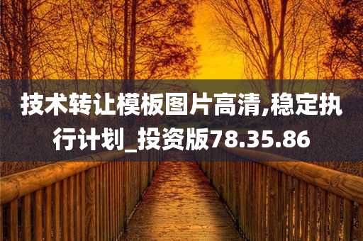 技术转让模板图片高清,稳定执行计划_投资版78.35.86