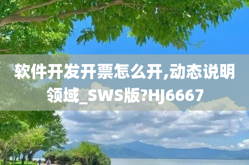 软件开发开票怎么开,动态说明领域_SWS版?HJ6667