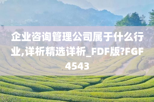 企业咨询管理公司属于什么行业,详析精选详析_FDF版?FGF4543