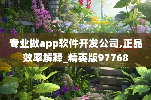 专业做app软件开发公司,正品效率解释_精英版97768