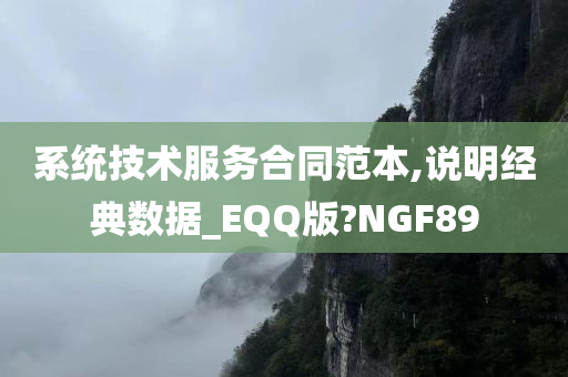 系统技术服务合同范本,说明经典数据_EQQ版?NGF89