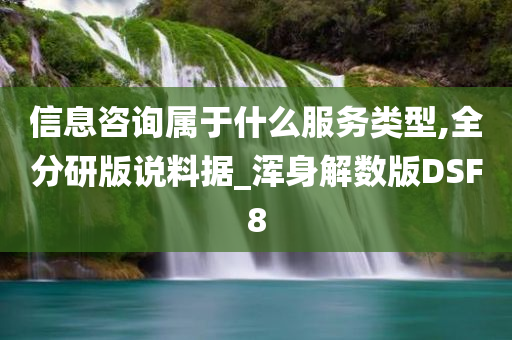 信息咨询属于什么服务类型,全分研版说料据_浑身解数版DSF8