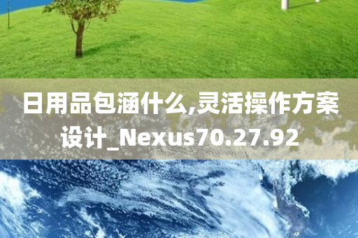 日用品包涵什么,灵活操作方案设计_Nexus70.27.92