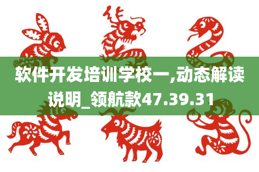 软件开发培训学校一,动态解读说明_领航款47.39.31