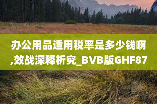 办公用品适用税率是多少钱啊,效战深释析究_BVB版GHF87