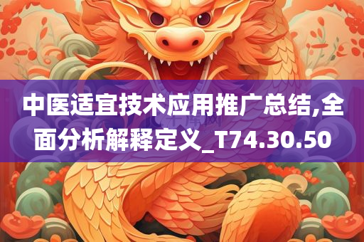 中医适宜技术应用推广总结,全面分析解释定义_T74.30.50