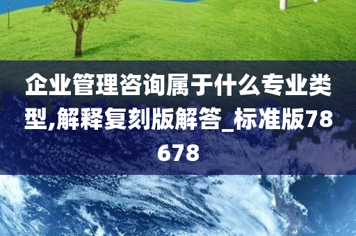 企业管理咨询属于什么专业类型,解释复刻版解答_标准版78678