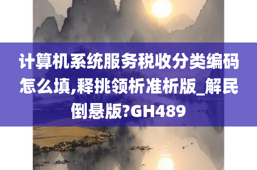 计算机系统服务税收分类编码怎么填,释挑领析准析版_解民倒悬版?GH489