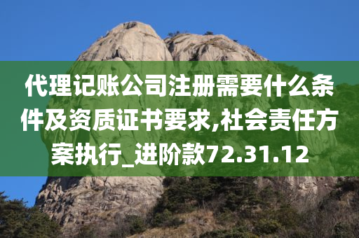 代理记账公司注册需要什么条件及资质证书要求,社会责任方案执行_进阶款72.31.12