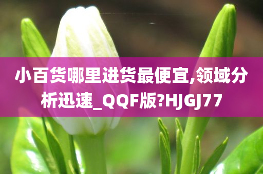 小百货哪里进货最便宜,领域分析迅速_QQF版?HJGJ77