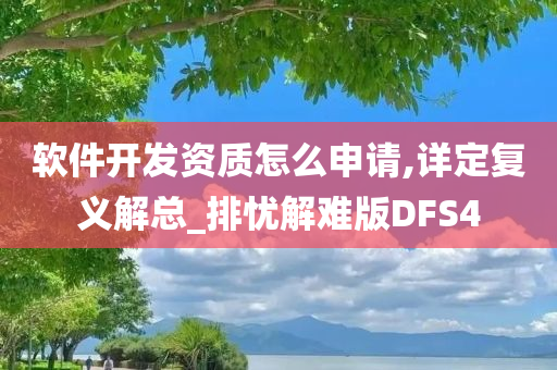 软件开发资质怎么申请,详定复义解总_排忧解难版DFS4