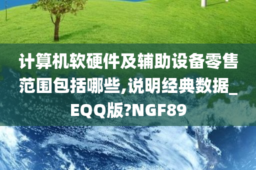 计算机软硬件及辅助设备零售范围包括哪些,说明经典数据_EQQ版?NGF89