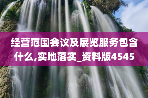 经营范围会议及展览服务包含什么,实地落实_资料版4545