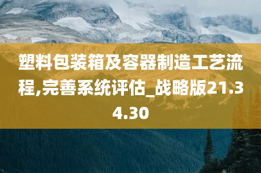 塑料包装箱及容器制造工艺流程,完善系统评估_战略版21.34.30