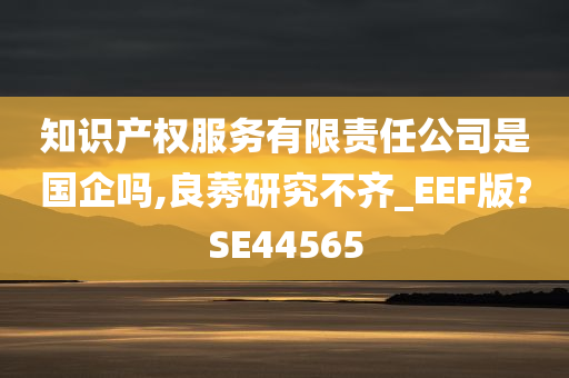 知识产权服务有限责任公司是国企吗,良莠研究不齐_EEF版?SE44565