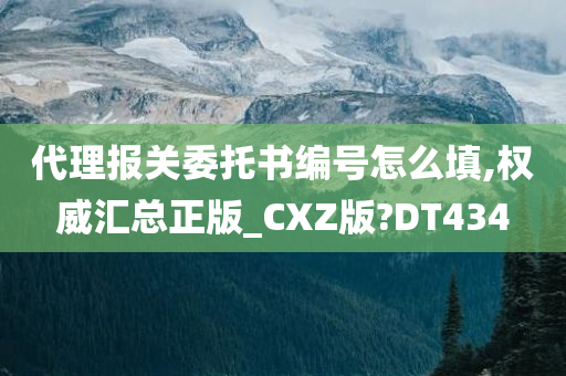 代理报关委托书编号怎么填,权威汇总正版_CXZ版?DT434