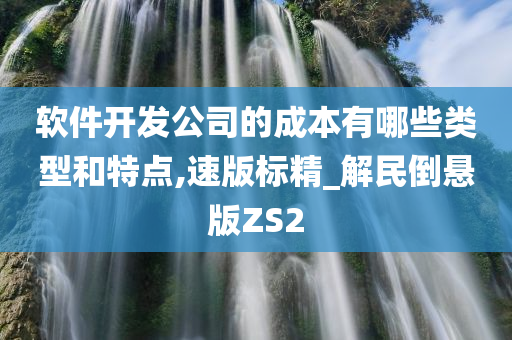 软件开发公司的成本有哪些类型和特点,速版标精_解民倒悬版ZS2