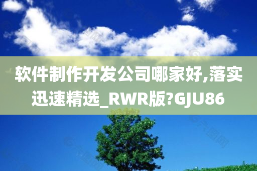 软件制作开发公司哪家好,落实迅速精选_RWR版?GJU86