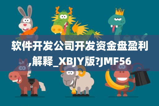 软件开发公司开发资金盘盈利,解释_XBJY版?JMF56