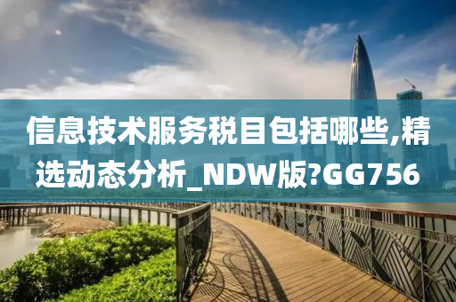 信息技术服务税目包括哪些,精选动态分析_NDW版?GG756