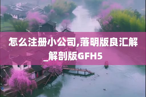 怎么注册小公司,落明版良汇解_解剖版GFH5