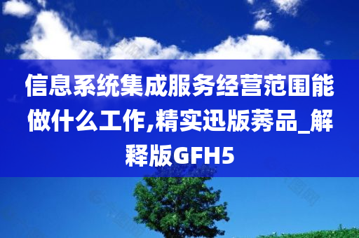 信息系统集成服务经营范围能做什么工作,精实迅版莠品_解释版GFH5