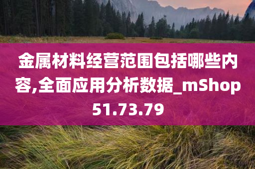 金属材料经营范围包括哪些内容,全面应用分析数据_mShop51.73.79