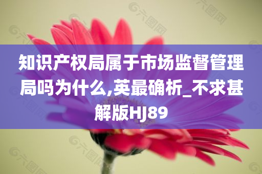 知识产权局属于市场监督管理局吗为什么,英最确析_不求甚解版HJ89