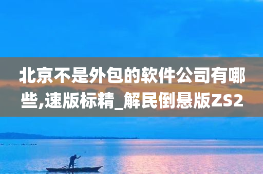 北京不是外包的软件公司有哪些,速版标精_解民倒悬版ZS2