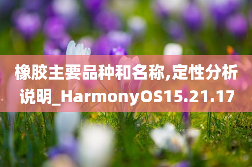 橡胶主要品种和名称,定性分析说明_HarmonyOS15.21.17