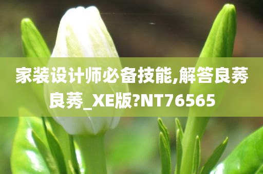 家装设计师必备技能,解答良莠良莠_XE版?NT76565