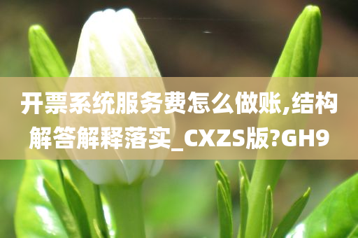 开票系统服务费怎么做账,结构解答解释落实_CXZS版?GH9