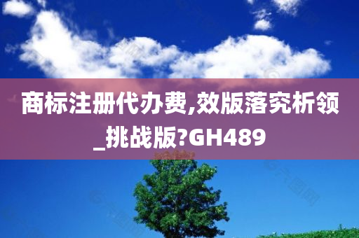 商标注册代办费,效版落究析领_挑战版?GH489