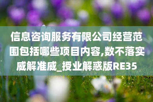 信息咨询服务有限公司经营范围包括哪些项目内容,数不落实威解准威_授业解惑版RE35