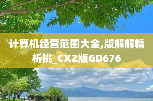 计算机经营范围大全,版解解精析挑_CXZ版GD676