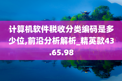 计算机软件税收分类编码是多少位,前沿分析解析_精英款43.65.98