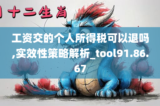 工资交的个人所得税可以退吗,实效性策略解析_tool91.86.67