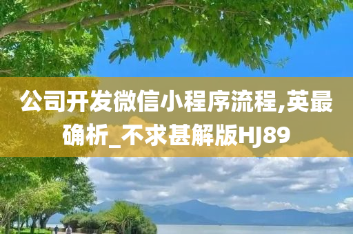 公司开发微信小程序流程,英最确析_不求甚解版HJ89