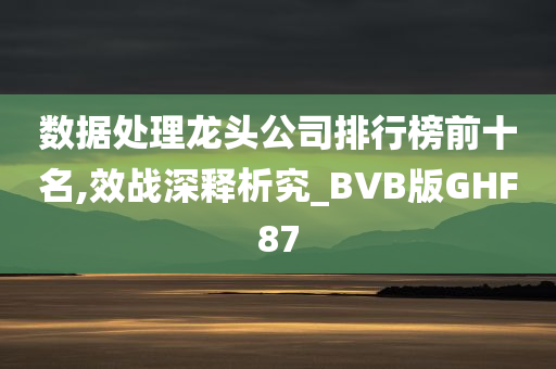 数据处理龙头公司排行榜前十名,效战深释析究_BVB版GHF87