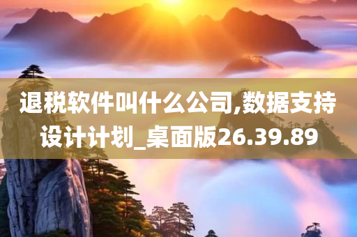 退税软件叫什么公司,数据支持设计计划_桌面版26.39.89