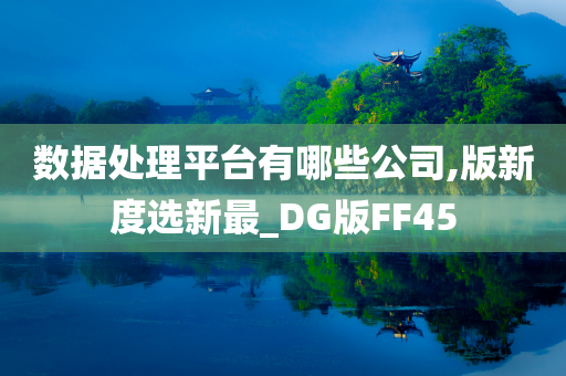 数据处理平台有哪些公司,版新度选新最_DG版FF45