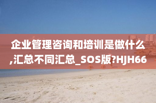 企业管理咨询和培训是做什么,汇总不同汇总_SOS版?HJH66