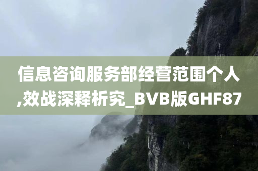 信息咨询服务部经营范围个人,效战深释析究_BVB版GHF87